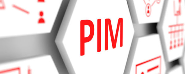 Projet PIM