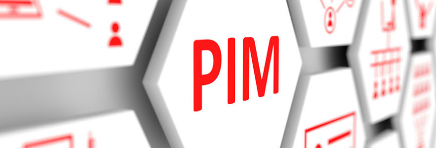 Projet PIM