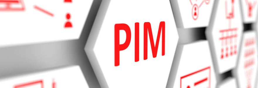 Projet PIM